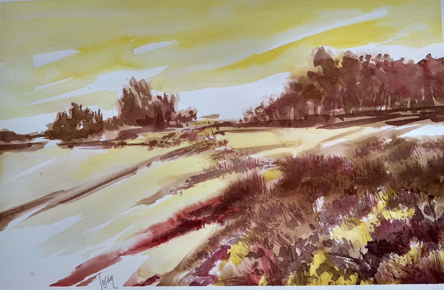 PAISAJE